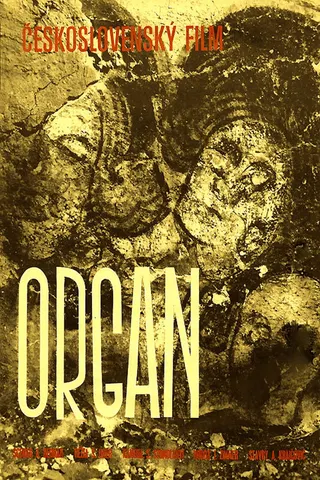 Görsel: TMDB The Organ afişi