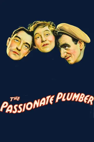 Görsel: TMDB The Passionate Plumber afişi