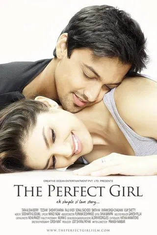 Görsel: TMDB The Perfect Girl : ek simple si love story afişi