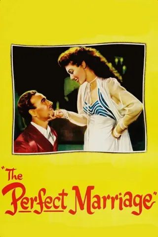 The Perfect Marriage afişi
