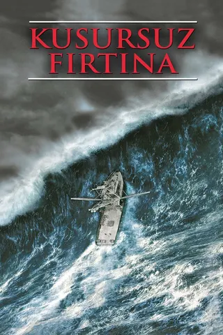 The Perfect Storm afişi