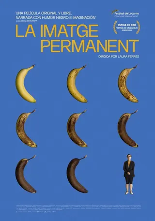 The Permanent Picture afişi
