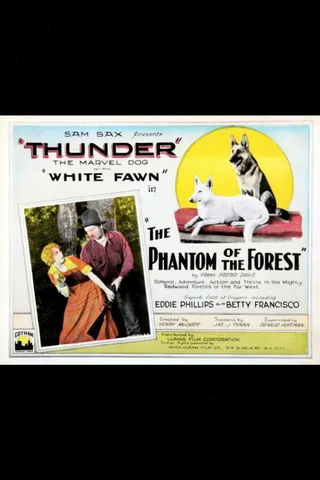 Görsel: TMDB The Phantom of the Forest afişi
