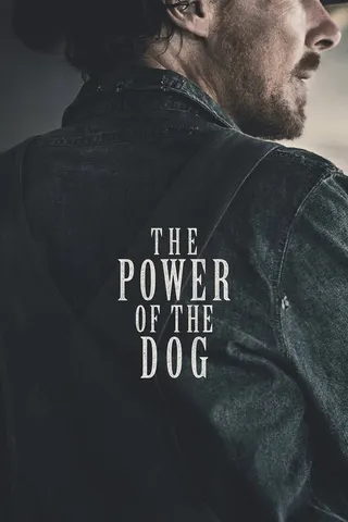 Görsel: TMDB The Power of the Dog afişi