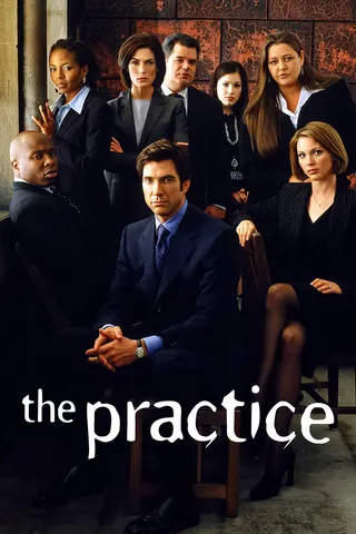 Görsel: TMDB The Practice afişi