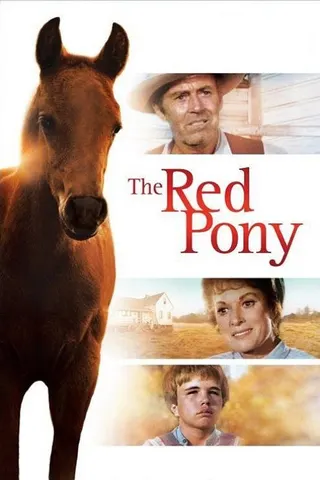 The Red Pony afişi