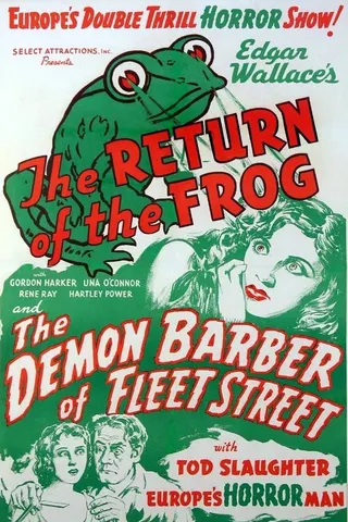 Görsel: TMDB The Return of the Frog afişi