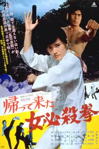 Görsel: TMDB The Return of the Sister Street Fighter afişi