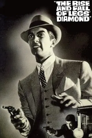 The Rise and Fall of Legs Diamond afişi