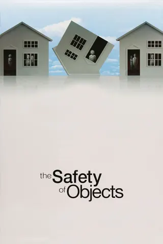 Görsel: TMDB The Safety of Objects afişi