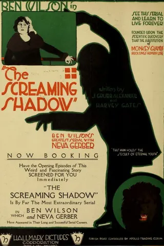 Görsel: TMDB The Screaming Shadow afişi