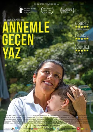 Görsel: TMDB The Second Mother afişi