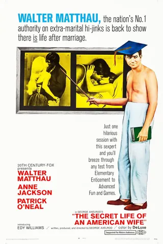 Görsel: TMDB The Secret Life of an American Wife afişi