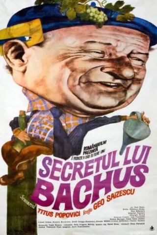 Görsel: TMDB The Secret of Bacchus afişi
