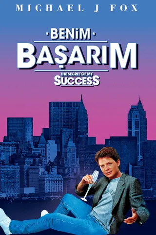 The Secret of My Success afişi