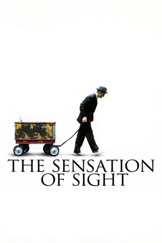 Görsel: TMDB The Sensation of Sight afişi