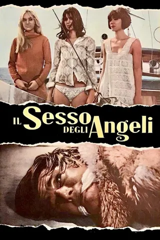 Görsel: TMDB The Sex of Angels afişi