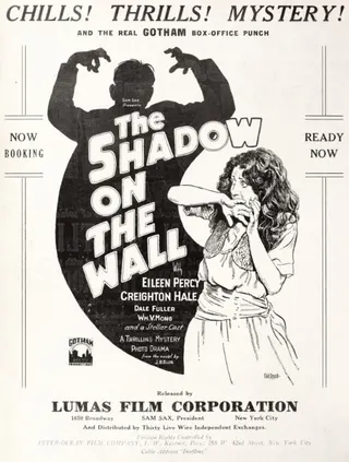 Görsel: TMDB The Shadow on the Wall afişi