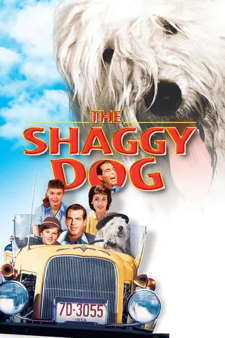 Görsel: TMDB The Shaggy Dog afişi