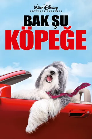 Görsel: TMDB The Shaggy Dog afişi