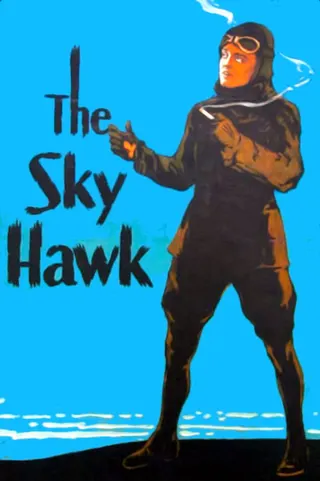 Görsel: TMDB The Sky Hawk afişi