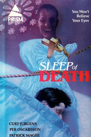 The Sleep of Death afişi