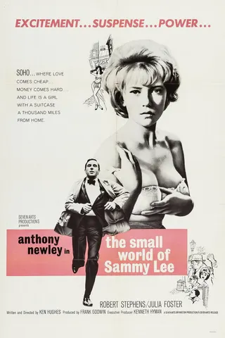 The Small World of Sammy Lee afişi