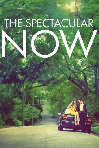 The Spectacular Now afişi