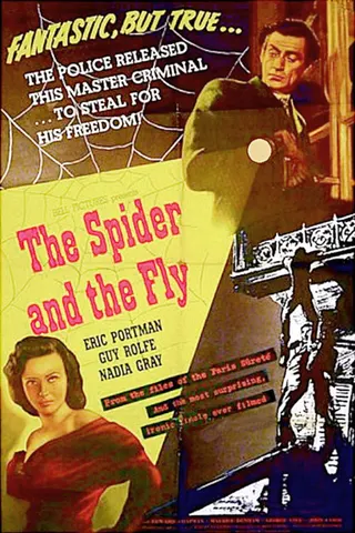 The Spider and the Fly afişi