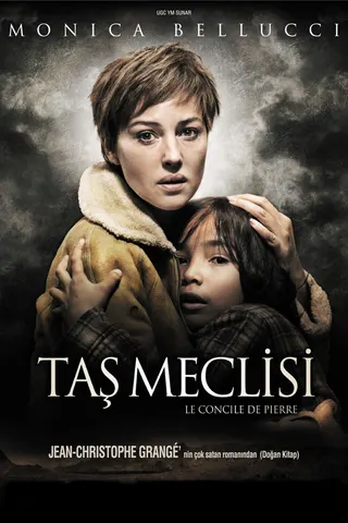 Görsel: TMDB The Stone Council afişi