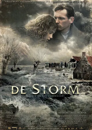 The Storm afişi