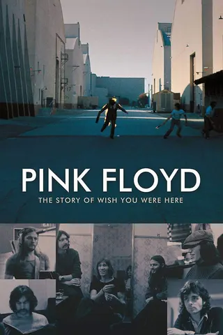 The Story of Wish You Were Here afişi