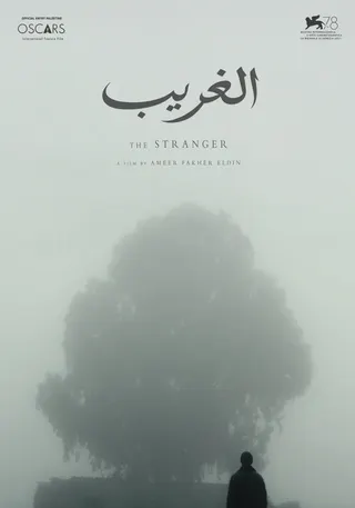 Görsel: TMDB The Stranger afişi