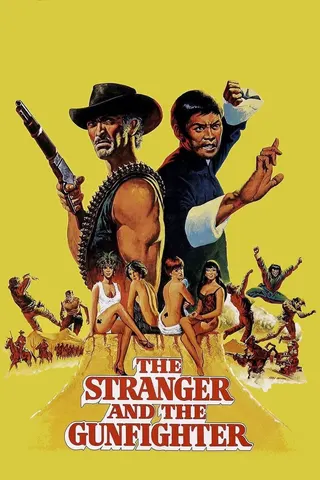 Görsel: TMDB The Stranger and the Gunfighter afişi