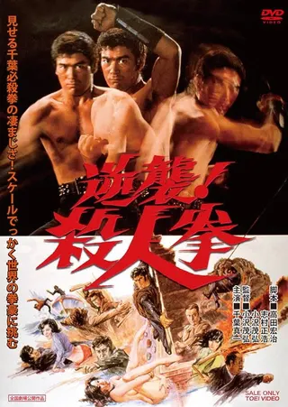 The Street Fighter's Last Revenge afişi