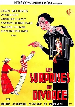 The Surprises of Divorce afişi