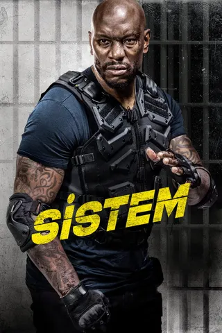 The System afişi