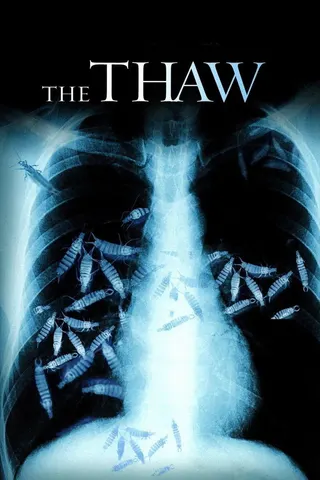 The Thaw afişi