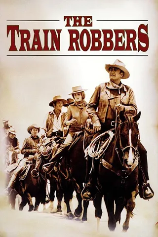 The Train Robbers afişi