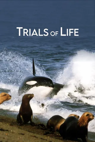 The Trials of Life afişi