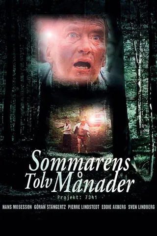 Görsel: TMDB The Twelve Months afişi