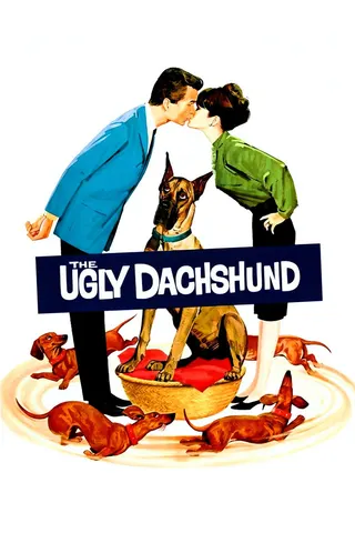 Görsel: TMDB The Ugly Dachshund afişi
