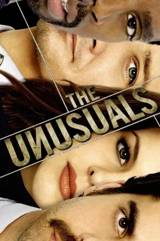The Unusuals afişi