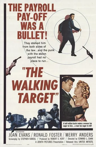 The Walking Target afişi
