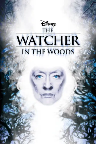 Görsel: TMDB The Watcher in the Woods afişi