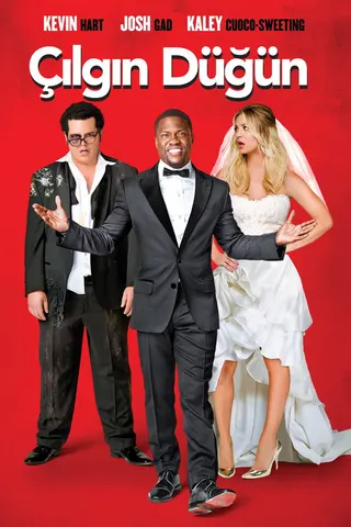 Görsel: TMDB The Wedding Ringer afişi