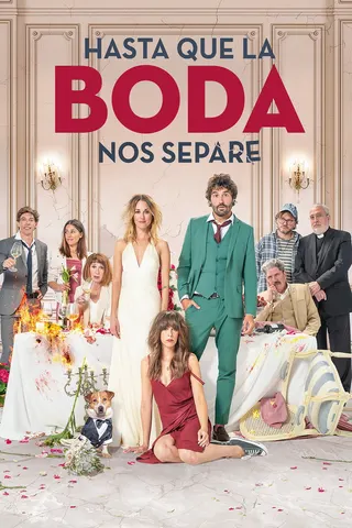 The Wedding Unplanner afişi