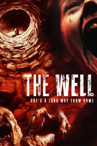 The Well afişi