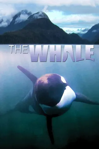 The Whale afişi