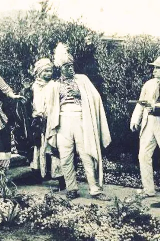 Görsel: TMDB The White Panther afişi
